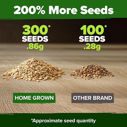 HOME GROWN Beefsteak Tomato Seeds 300+ Heirloom Non-GMO Seeds for Planting, High Germination, Indeterminate, Large Meaty Slicing Tomato, High Yield Summer Vegetable Garden (Solanum lycopersicum)