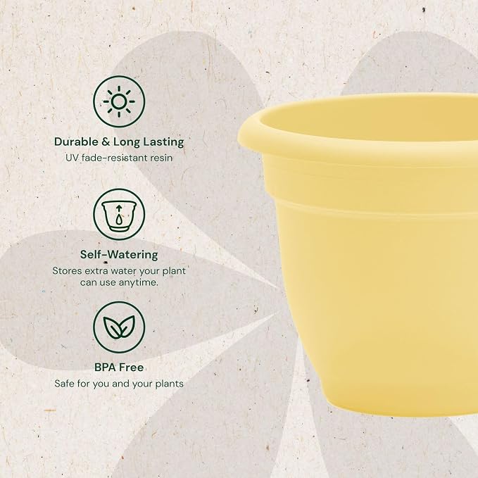 Bloem Ariana 10" Plastic Self-Watering Planter, Daffodil, 2-Pack | Self-watering disk at the bottom of each pot that acts as a water wick and reservoir for optimal plant health