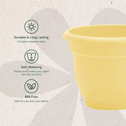 Bloem Ariana 10" Plastic Self-Watering Planter, Daffodil, 2-Pack | Self-watering disk at the bottom of each pot that acts as a water wick and reservoir for optimal plant health