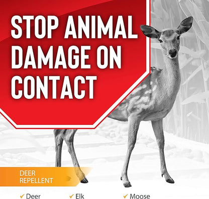 Deer Stopper, Liquid Animal Stopper Repellent, All Natural, Effective All Year Round, Safe for People and Pets, No Harsh Chemicals, Ready to Use, Deer & Moose Repellent - 1 Gallon Concentrate