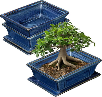 Villa Como Bonsai Pots Small Shallow Succulent Planters for Live Bonsai Trees Set of 2, 7.5" Ceramic Pot for Succulents Indoor with Drainage Hole and Saucer, Outdoor Cactus Plant Bonsai Pot