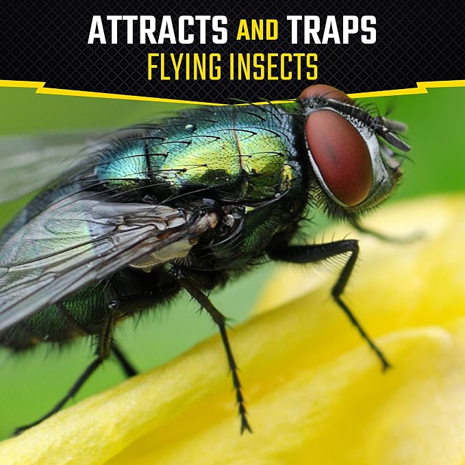 Black Flag Fly Stick, Trap Houseflies and Flying Insects, Pack of 6
