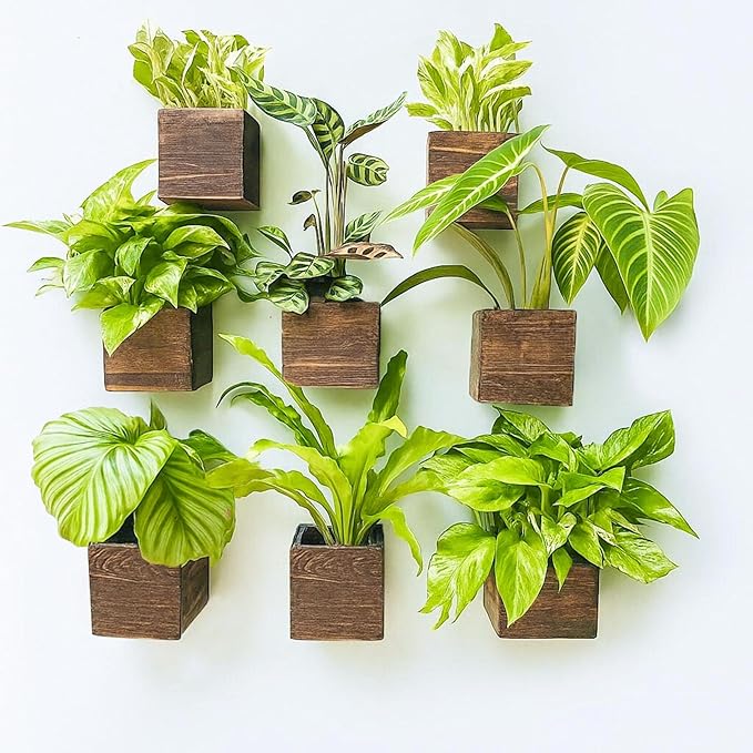 LaLaGreen Wood Planter Boxes for Plants (4x4, 8 Pack) Wooden Wall Planters | Square Wall Mounted Planters for Indoor Plant, Herb Wooden Box Hanging Flower Pot Plant Holder Outdoor Fence Vertical Garden
