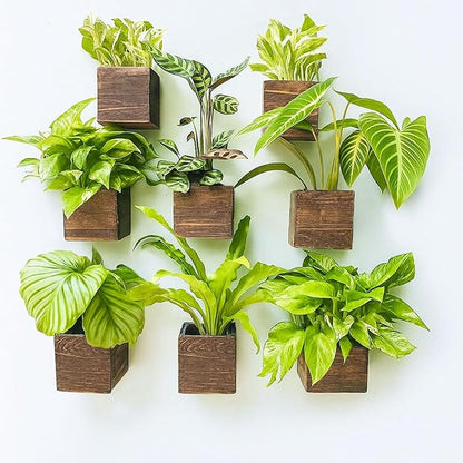 LaLaGreen Wood Planter Boxes for Plants (4x4, 8 Pack) Wooden Wall Planters | Square Wall Mounted Planters for Indoor Plant, Herb Wooden Box Hanging Flower Pot Plant Holder Outdoor Fence Vertical Garden