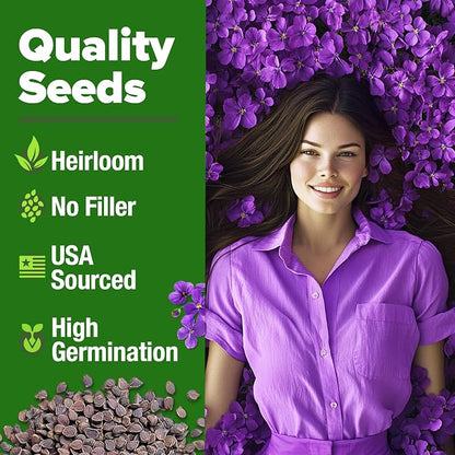 HOME GROWN Aubrieta Rock Cress Purple, Flowering Ground Cover Seed Pack, Non GMO Perennial Cress Seeds for Planting Outdoor Lawn Gardens 300 Aubrieta deltoidea Flower Seeds