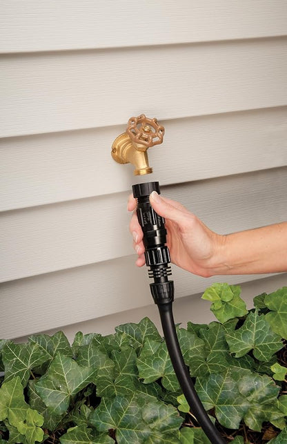 Rain Bird HT07525PSI Drip Irrigation 25 PSI Pressure Regulator, 3/4" Female Hose Thread x 3/4" Male Hose Thread