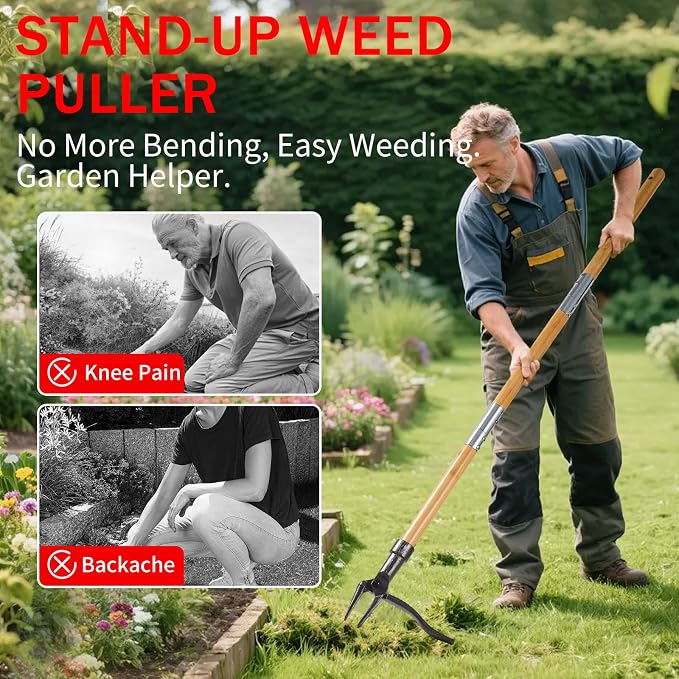 Weeder - Stand Up Weed Puller Tool Made with Long Handle - Real Bamboo & 4-Claw Steel Head, Easily Remove Weeds Without Bending, Pulling, or Kneeling.