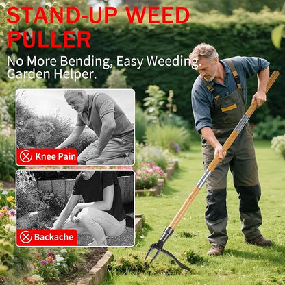 Weeder - Stand Up Weed Puller Tool Made with Long Handle - Real Bamboo & 4-Claw Steel Head, Easily Remove Weeds Without Bending, Pulling, or Kneeling.