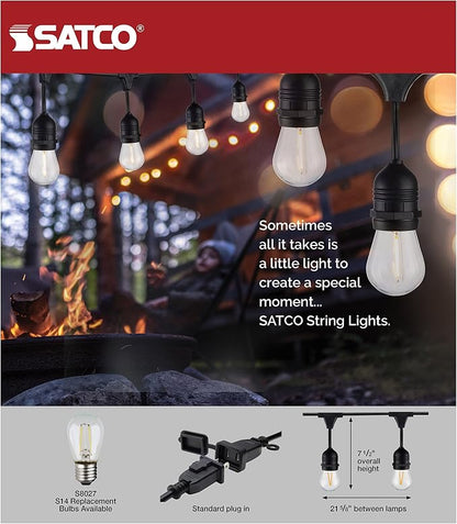 Satco S8030 LED Indoor/Outdoor String Lights, Black, S14 Bulbs, 24 Feet (Pack of 1)