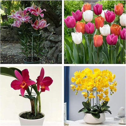 12 Pack 16 Inch Metal Plant Support Stakes for Outdoor Plants and Flowers | Plant Support Sticks, Includes 24 Twist Ties, For Peony, Amaryllis, Marigold, Coreopsis, For Tomato Seedling, Sapling