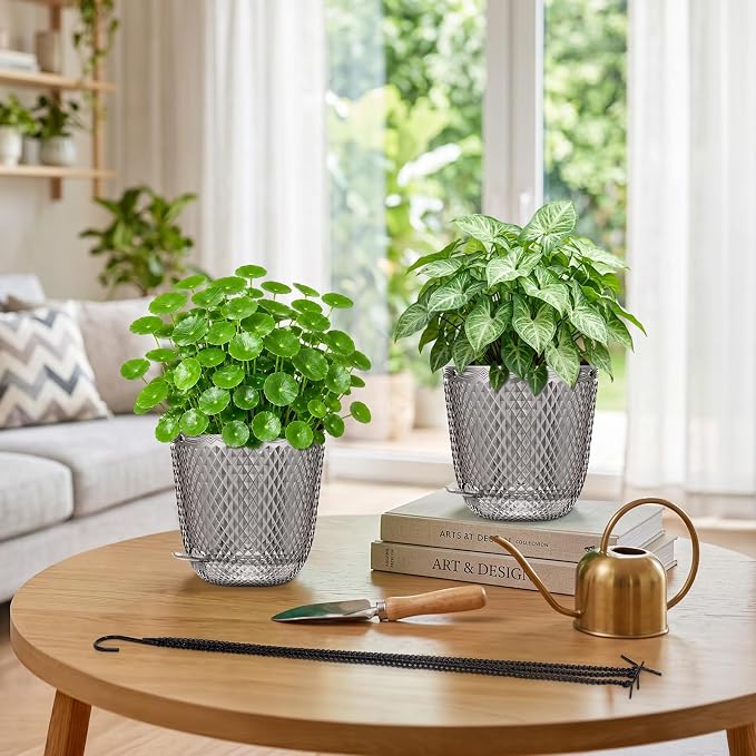 QCQHDU 5.7 Inch 2 Pack Small Hanging Planters for Indoor Outdoor Plants,Self Watering Flower Pots Hanging Basket Plant Hanger with Drainage Holes and 3 Hooks for Window Porch Garden Balcony, (Grey)