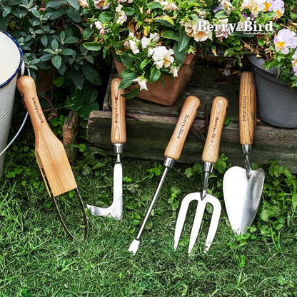 Berry&Bird Dandelion Weeding Tool, Crack Weeder Hand Weeder Puller Tool | V-Shaped Weed Fork for Planting & Weeding, Weed Puller Tool with Wood Handle, Stainless Steel Garden Tool for Patio Lawn Yard