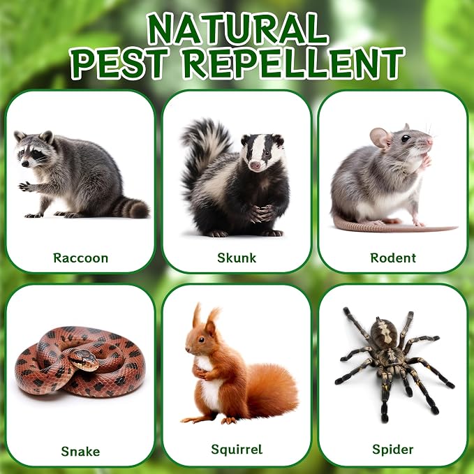 12pack Skunk Repellent Outdoor – Keep Skunk Out of Yard & Garden, Natural Peppermint Oil Skunk Deterrent, Long-Lasting Animal Repellent Granules, Safe for Pets & Plants