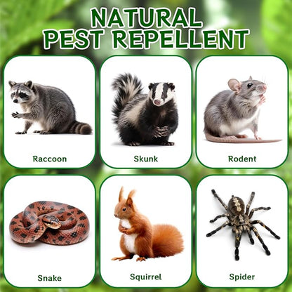 12pack Skunk Repellent Outdoor – Keep Skunk Out of Yard & Garden, Natural Peppermint Oil Skunk Deterrent, Long-Lasting Animal Repellent Granules, Safe for Pets & Plants