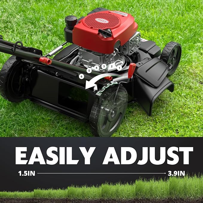 AMERISUN Gas Lawn Mower, 21" with 144cc 4-Cycle OHV Engine 2-in-1 Walk-Behind Gas Push Lawn Mower (AV8621C1)