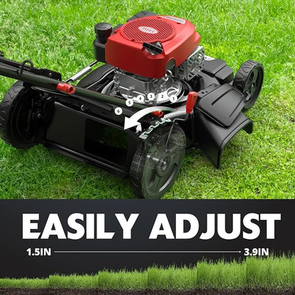 AMERISUN Gas Lawn Mower, 21" with 144cc 4-Cycle OHV Engine 2-in-1 Walk-Behind Gas Push Lawn Mower (AV8621C1)