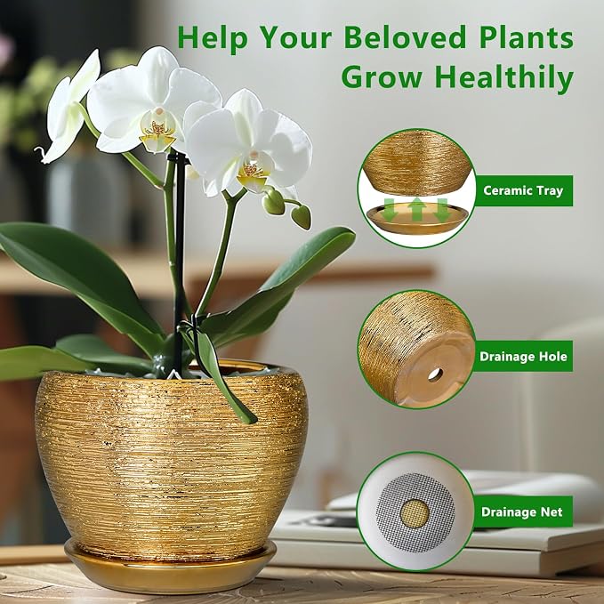 Ceramicfor Ceramic Plant Pot 8 Inch - Planter for Outdoor Plants Indoor Plant Pot with Drainage Hole and Saucer Decorative Round Planter Modern Flower Pot for House Decor Gold
