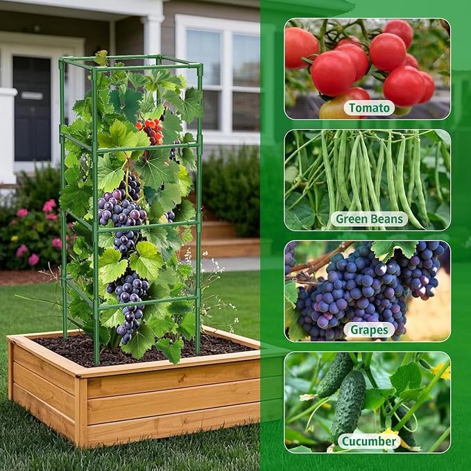 3 Pack Tomato Cages, 42 Inch Square Tomato Cage for Raised Garden Bed, Rust-Proof Sturdy Tall Tomato Trellis Supports for Climbing Plants Outdoor with Clips Wire
