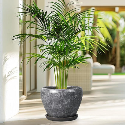 Ceramicfor 8 Inch Plant Pot - Ceramic Planter Pot with Drainage Hole and Saucer, Glaze Garden Pot Modern Flower Pot for Indoor Plants, Gray