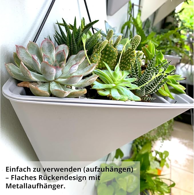 LaLaGreen Succulent Wall Planters (12in, 2 Pack) Large Self Watering Pots | Wall Hanging Planters for Indoor Plants Gray Wall Mount Triangle Geometric Flower Vase Black Metal Hanger Living Wall Decor