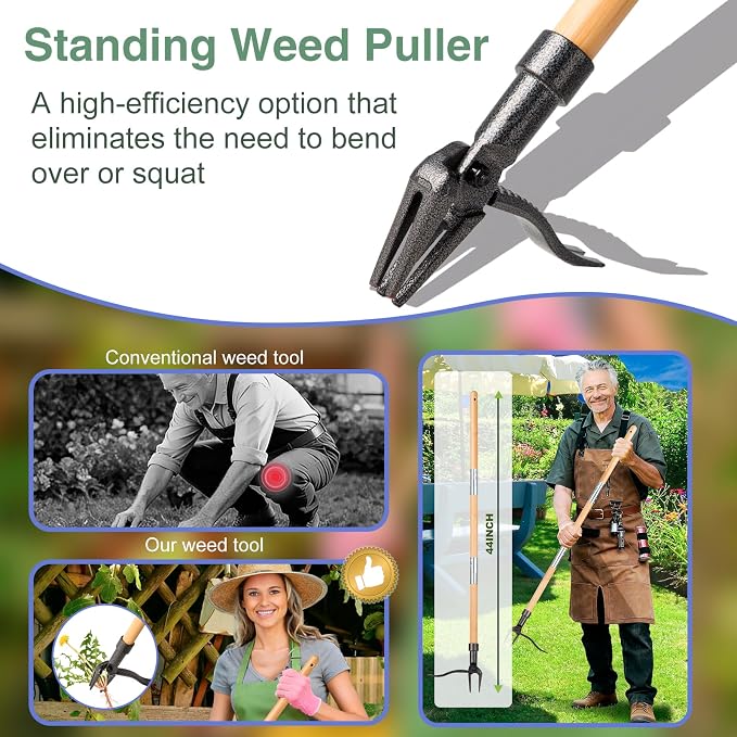 Weed Puller Long Handle Foot Platform Design 4-Claw Steel Head & Removable 3-Section Pole Garden Tools-Easily Remove Weeds Without Bending or Kneeling Stand Up Weed Puller Tool with Wooden