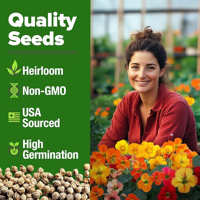 HOME GROWN Nasturtium Seeds Dwarf Tall Trailing Mix 250+ Edible Flower Seeds for Planting Outdoors Fast Germination, Low-Maintenance Climbing & Trailing Nasturtium (Tropaeolum majus)