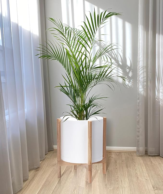 D'vine Dev Plastic Pot with Natural Wood Stand, White, 14 in, 55-C-S-1 | Mid-Century Inspired Design, Elevated Plant Display, Clean Lines, Sturdy Support, Modern Space-Saving Style