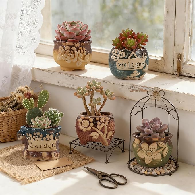 Succulent Ceramic Garden Pots Small Plant Planter Container with Drainage Set of 5 for Home Office Decor