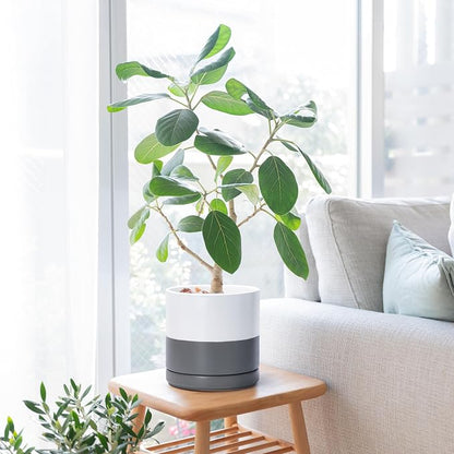 D'vine Dev 8.2 Inch Ceramic Planter Pot with Drainage Hole and Saucer, Indoor Cylinder Round Planter Pot, White/Speckled Grey, 94-O-D-6