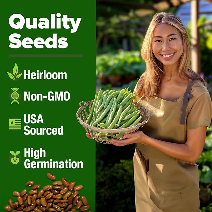 HOME GROWN Contender Bush Bean Seeds 28+ Heirloom Non-GMO, High Germination, Stringless Green Beans for Planting, Early Harvest, Emergency Food Supply, Fresh Eating & Canning (Phaseolus vulgaris)