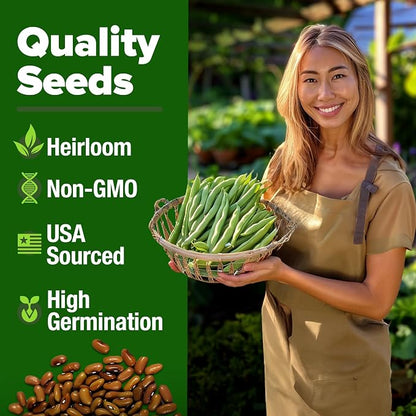 HOME GROWN Contender Bush Bean Seeds 28+ Heirloom Non-GMO, High Germination, Stringless Green Beans for Planting, Early Harvest, Emergency Food Supply, Fresh Eating & Canning (Phaseolus vulgaris)