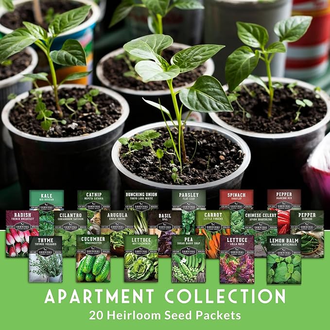 Hydroponic & Indoor Garden Seed Kit – Survival Garden Seeds | 20 Compact Heirloom Vegetable & Herb Varieties - Apartment, Small-Space, Patio & Vertical Tower Growing - Family Garden Gift