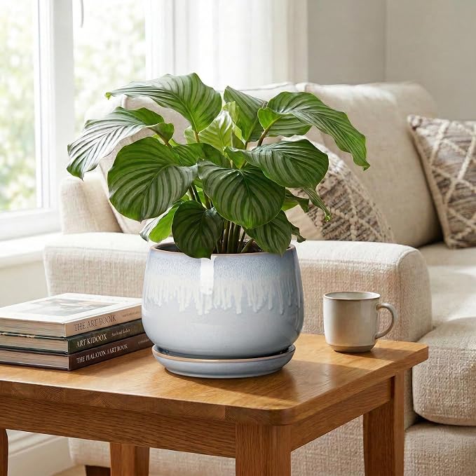 9 Inch Ceramic Pots for Plants - Indoor Plant Pots with Drainage and Saucer, Decorative Planters for Indoor Plants, Round Large Flower Pot, Rustic Home Decor, Housewarming Gifts, Grey-White