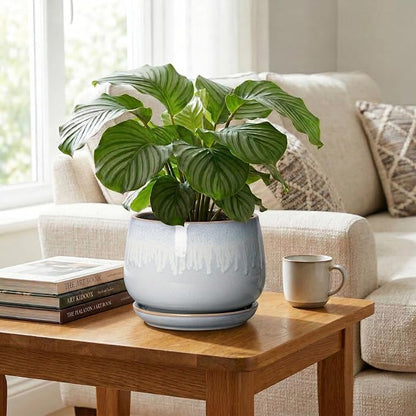 9 Inch Ceramic Pots for Plants - Indoor Plant Pots with Drainage and Saucer, Decorative Planters for Indoor Plants, Round Large Flower Pot, Rustic Home Decor, Housewarming Gifts, Grey-White
