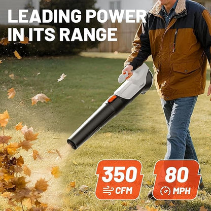 Litheli Cordless Leaf Blower with 2 Batteries, 2-Speed 350CFM for Dry Leaves, Dust & Car Drying