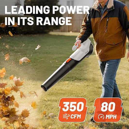 Litheli Cordless Leaf Blower with 2 Batteries, 2-Speed 350CFM for Dry Leaves, Dust & Car Drying