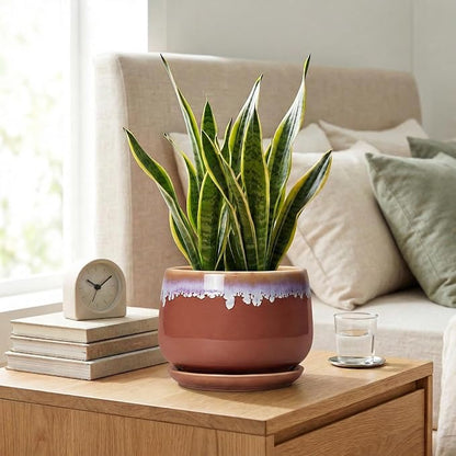 Ceramic Pots for Plants 7 Inch - Ceramic Planters for Indoor Plants, Indoor Plant Pots with Drainage and Saucer, Decorative Round Flower Pot, Garden House Room Decor, Plant Gifts, Red-Purple