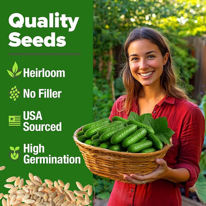 HOME GROWN Persian Cucumber Seeds 50+ Heirloom Non-GMO, Beit Alpha Variety, High Germination, Sweet Thin Skin, Burpless Snacking Cucumbers, Fast Growing, Indoor Outdoor Garden Crop (Cucumis sativus)