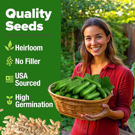 HOME GROWN Persian Cucumber Seeds 50+ Heirloom Non-GMO, Beit Alpha Variety, High Germination, Sweet Thin Skin, Burpless Snacking Cucumbers, Fast Growing, Indoor Outdoor Garden Crop (Cucumis sativus)