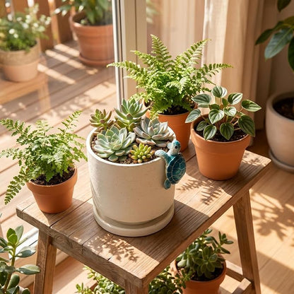 Ceramic Plant Pot with Resin Climbing Tortoise Figure, 5.75 Inch,White | Drainage Hole and Saucer, Cylinder Shape, Indoor Use, Home Garden