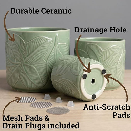 Ceramic Pots for Plants Set of 3, 6, 5, 4 Inch Diameter with Drainage Holes | Thick Durable Ceramic Pots, Plant Pots with Drainage Holes, Mesh Pads, Drain Plugs & Anti-Scratch Pads, Decorative Flower Pot