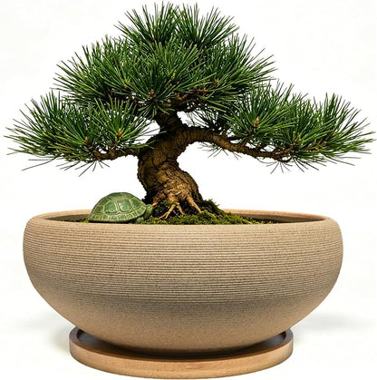 MUZHI 8 inch Round Unglazed Ceramic Bonsai Pot with Bamboo Tray, Shallow Plain Pottery Succulent Planter with Drainage Hole (8”)