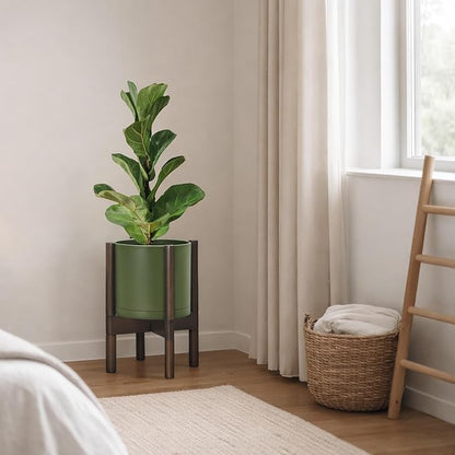 D'vine Dev Plastic Pot with Walnut Wood Stand, Olive, 8 in, 55-C-I-3 | Mid-Century Inspired Design, Elevated Plant Display, Clean Lines, Sturdy Support, Modern Space-Saving Style