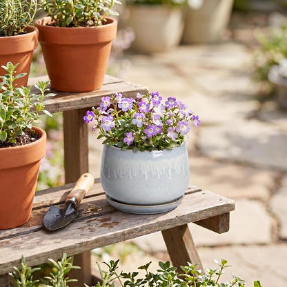 4 Inch Planter - Ceramic Plant Pots for Indoor Plants, Round Succulent Pots with Drainage and Saucer, Decorative Small Planter, Home Desktop Decor, Gardening Gifts for Women, Grey-White