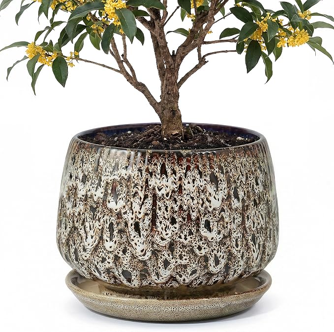 10.3 Inch Ceramic Planter with Saucer,Modern Garden Pots with Drainage Hole Mesh Net, for Indoor Outdoor Use (Speckle White)