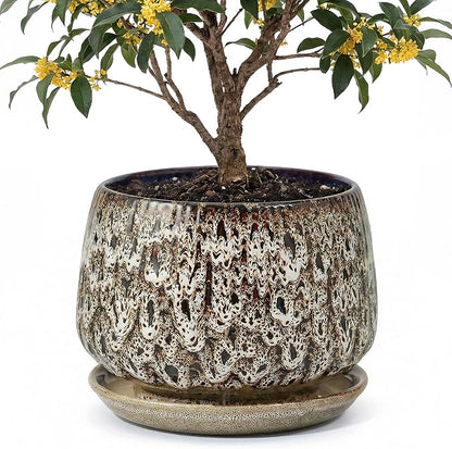 10.3 Inch Ceramic Planter with Saucer,Modern Garden Pots with Drainage Hole Mesh Net, for Indoor Outdoor Use (Speckle White)
