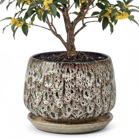 10.3 Inch Ceramic Planter with Saucer,Modern Garden Pots with Drainage Hole Mesh Net, for Indoor Outdoor Use (Speckle White)