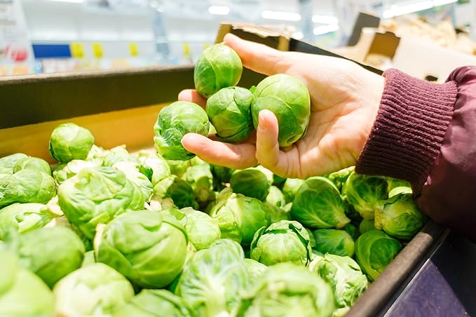 Brussel Sprouts Seeds for Planting, Catskill, 1 gram, 270 Seeds, Grow Heirloom Brussels Sprouts Fresh in Your Garden, Non-GMO