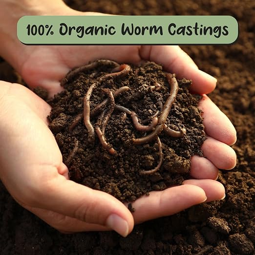 Soil Sunrise Premium Organic Worm Castings (8 Pounds) 8QT All Natural Soil Additive, Soil Builder, and Fertilizer