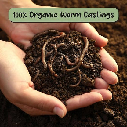 Soil Sunrise Premium Organic Worm Castings (8 Pounds) 8QT All Natural Soil Additive, Soil Builder, and Fertilizer